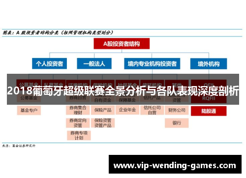 2018葡萄牙超级联赛全景分析与各队表现深度剖析