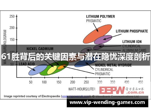 61胜背后的关键因素与潜在隐忧深度剖析