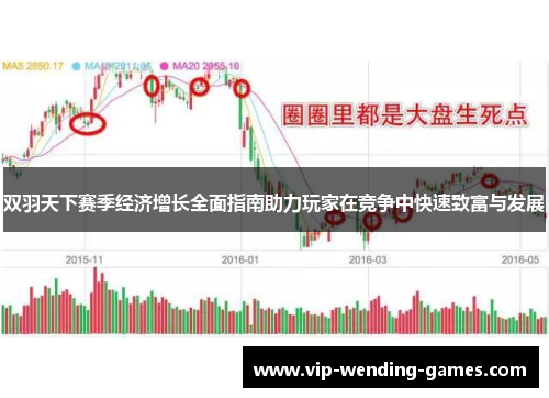 双羽天下赛季经济增长全面指南助力玩家在竞争中快速致富与发展