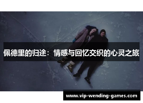 佩德里的归途：情感与回忆交织的心灵之旅