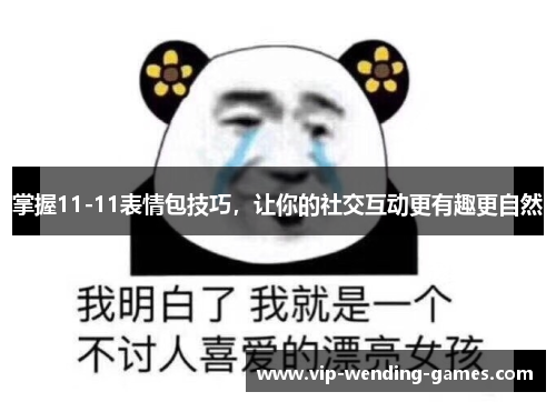 掌握11-11表情包技巧，让你的社交互动更有趣更自然