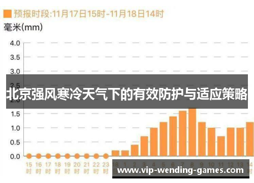 北京强风寒冷天气下的有效防护与适应策略