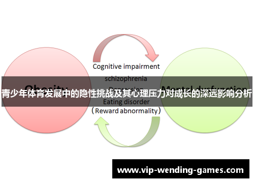 青少年体育发展中的隐性挑战及其心理压力对成长的深远影响分析