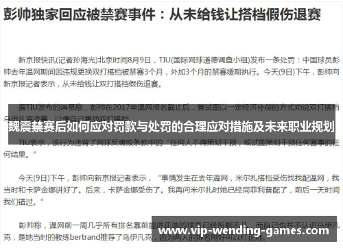 魏震禁赛后如何应对罚款与处罚的合理应对措施及未来职业规划