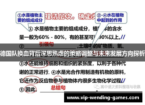 德国队换血背后深思熟虑的策略调整与未来发展方向探析 德国队换血背后深思熟虑的策略调整与未来发展方向探析
