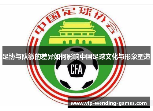 足协与队徽的差异如何影响中国足球文化与形象塑造 足协与队徽的差异如何影响中国足球文化与形象塑造