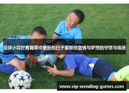 足球小将世青篇等待更新的日子里那些激情与梦想的守望与追逐