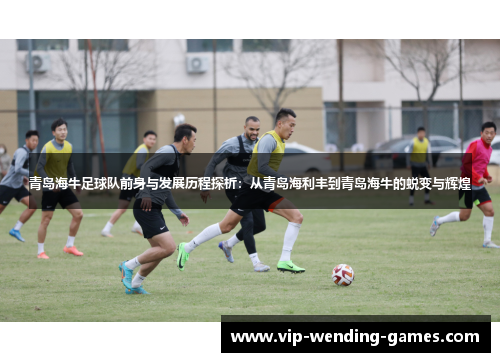 青岛海牛足球队前身与发展历程探析：从青岛海利丰到青岛海牛的蜕变与辉煌